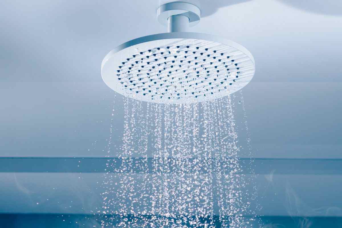 allerta nelle case, batterio legionella si insidia nelle docce