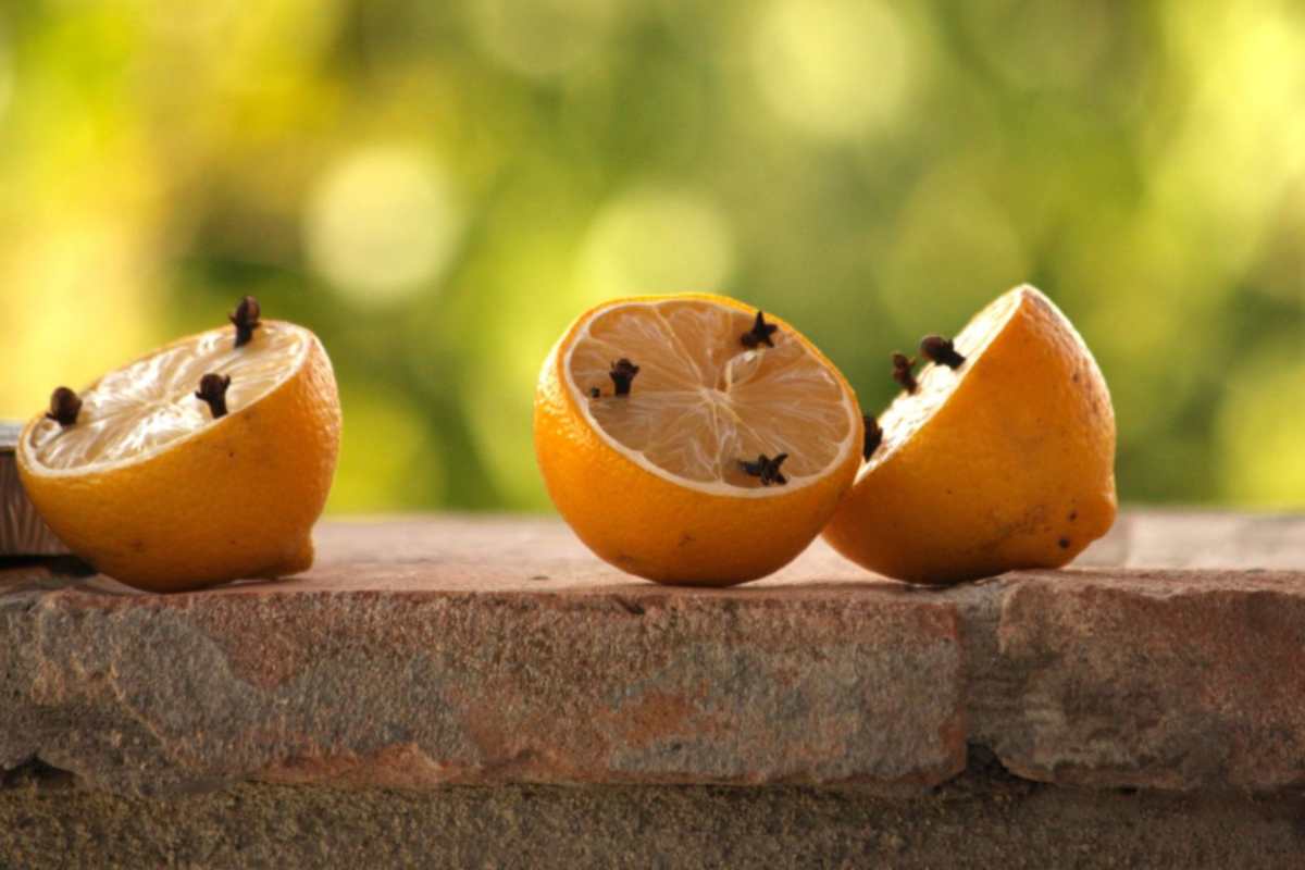 limone chiodi garofano