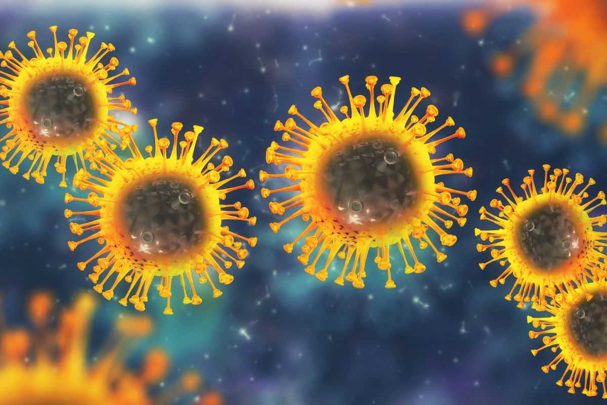 allarme virus abissi, ecco cosa si rischia