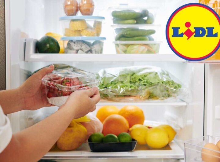 LIDL fa tremare i saldi: frigo a 59 euro