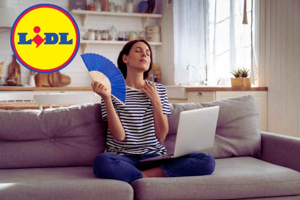LIDL, 49 euro e ti sistemi l'estate