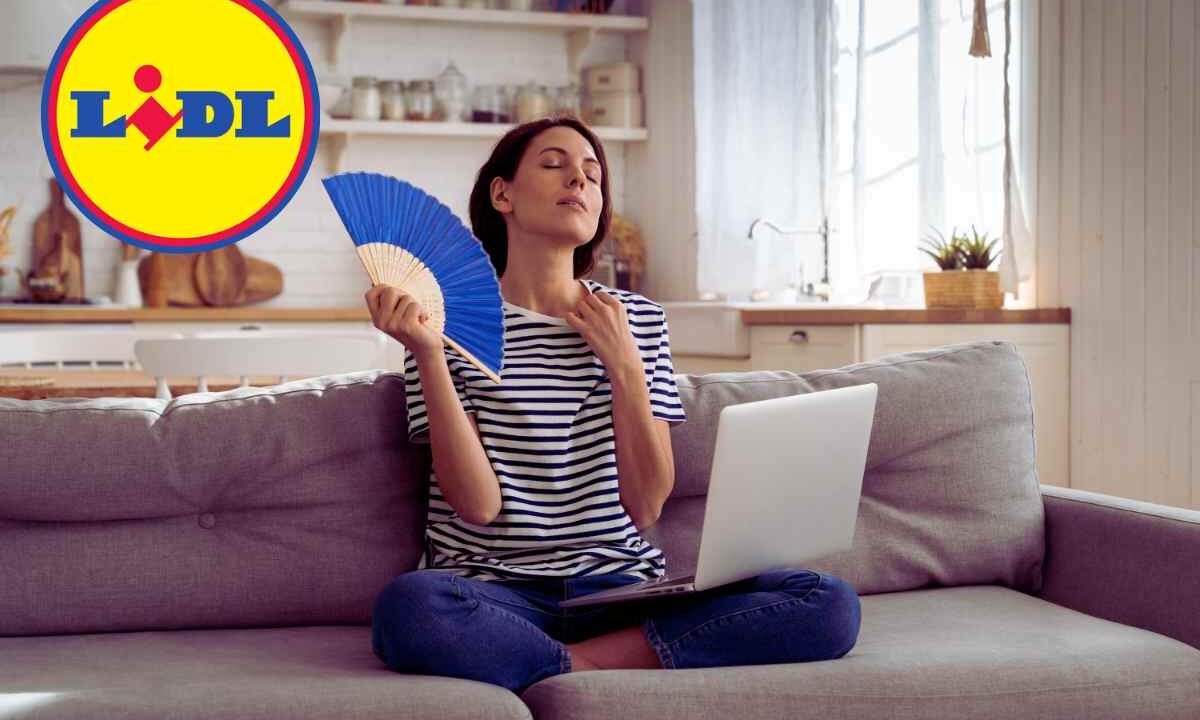 LIDL, 49 euro e ti sistemi l'estate