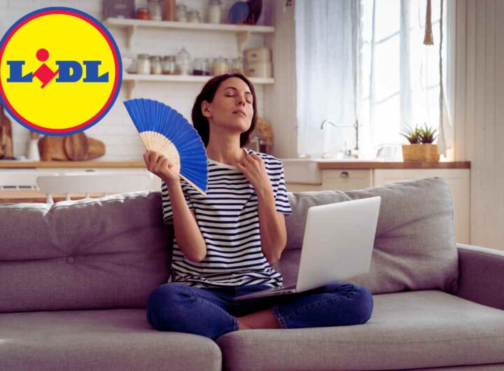 LIDL, 49 euro e ti sistemi l'estate