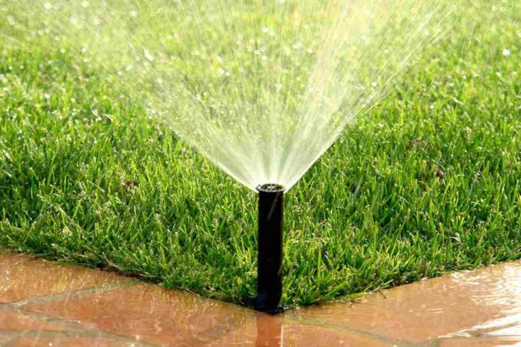 irrigazione