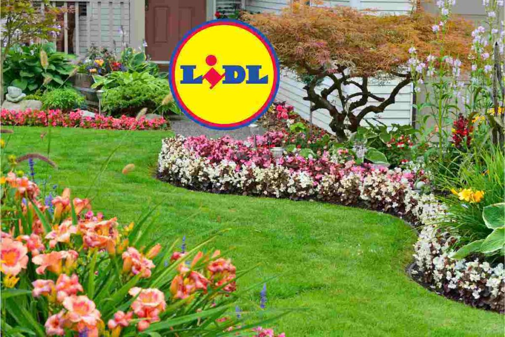 Lidl porta l’estate in giardino, l’occasione per arredare con stile il tuo angolo verde