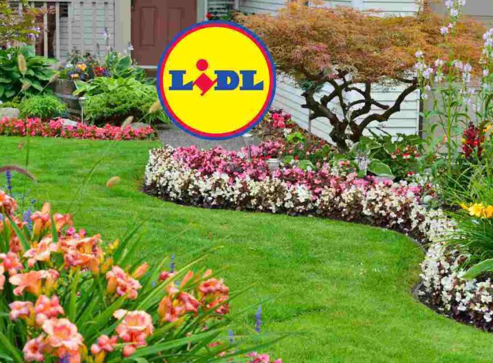 Lidl porta l’estate in giardino, l’occasione per arredare con stile il tuo angolo verde