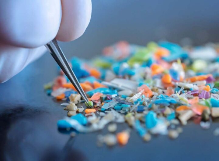 microplastiche