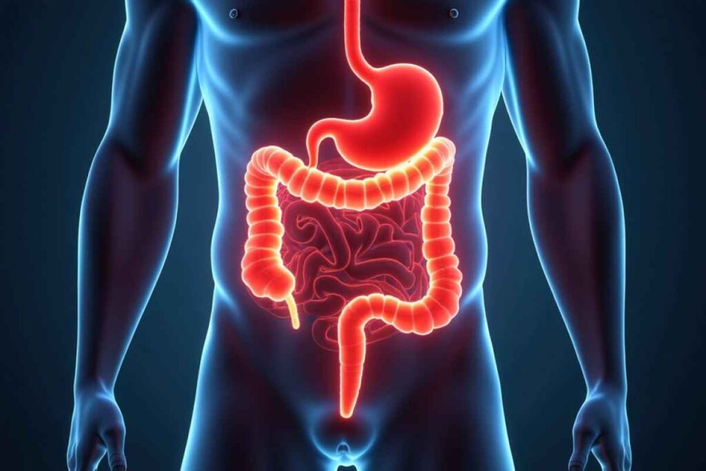 La carne fa venire il cancro?