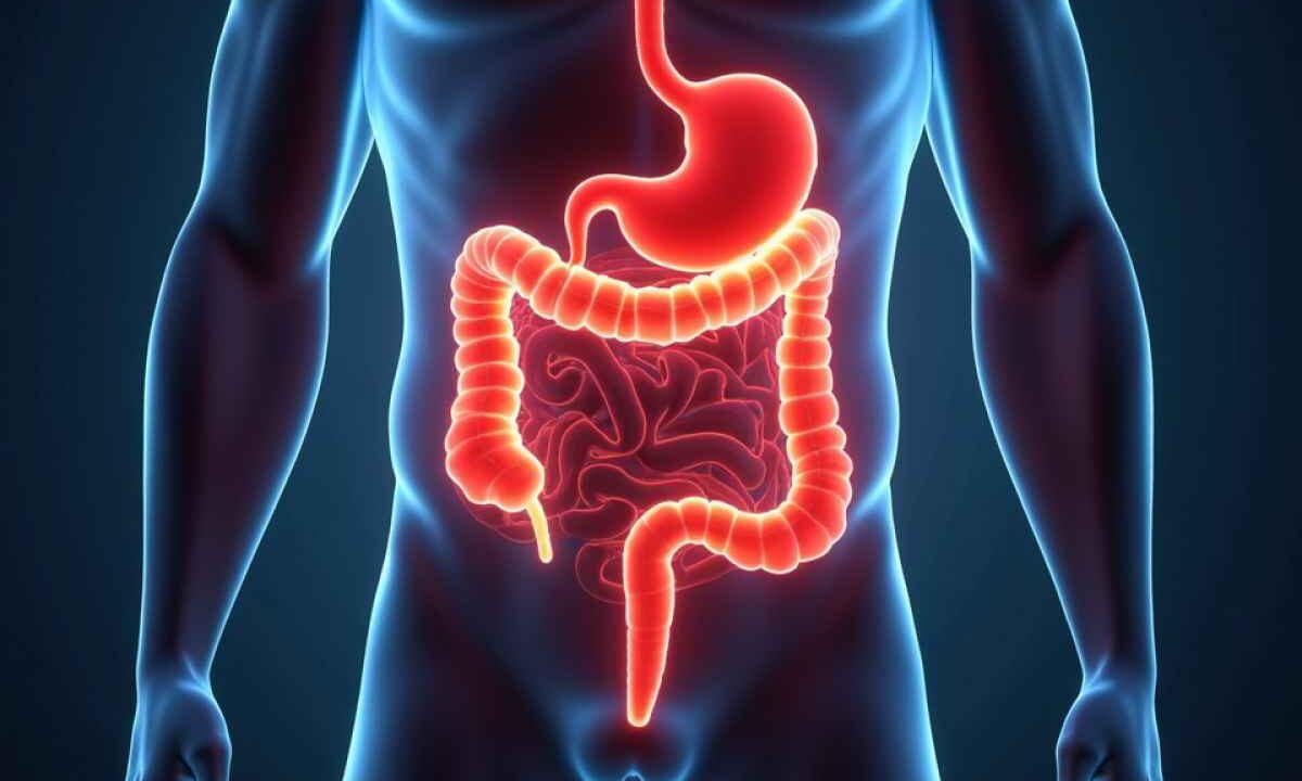 La carne fa venire il cancro?