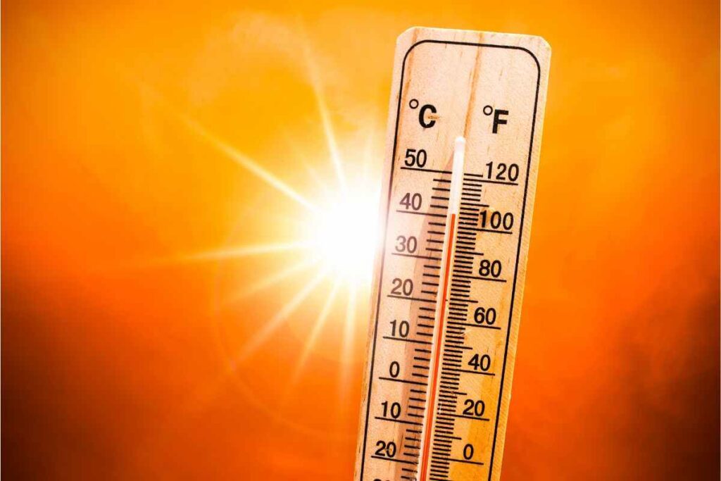 Cosa fare in caso di colpo di calore?