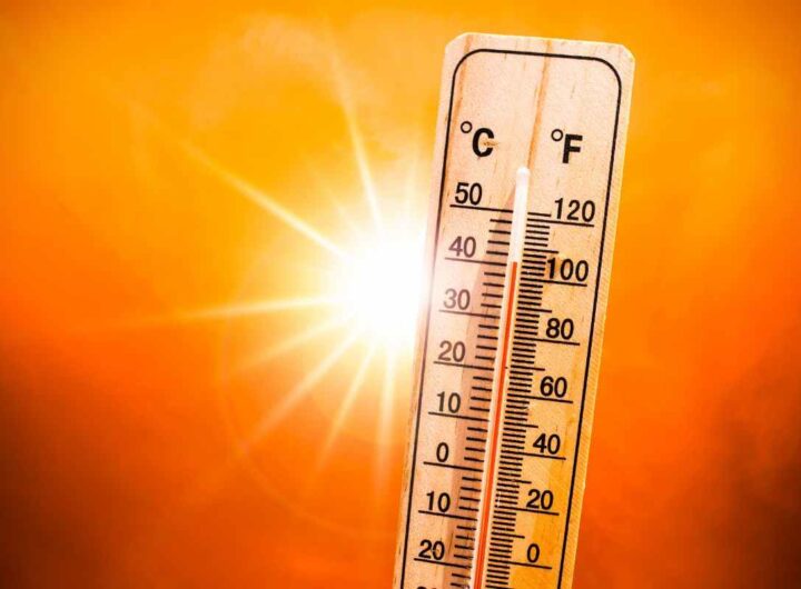 Cosa fare in caso di colpo di calore?