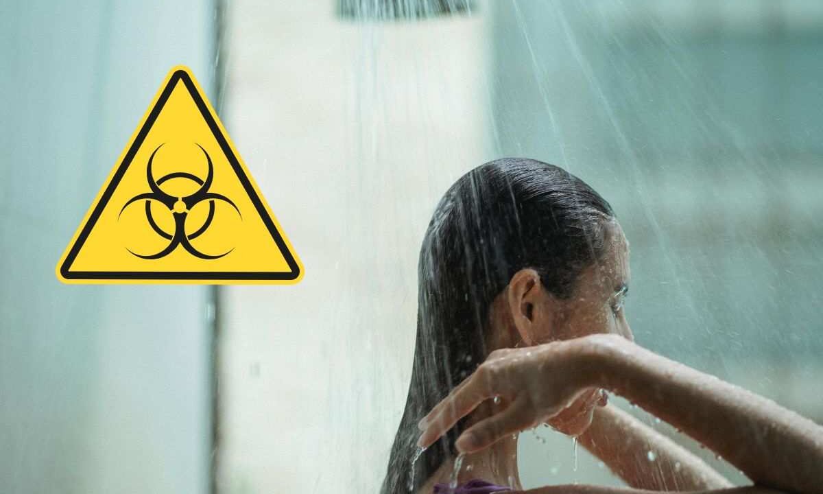 allerta in casa, batterio legionella