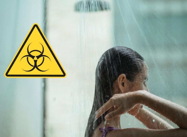 allerta in casa, batterio legionella