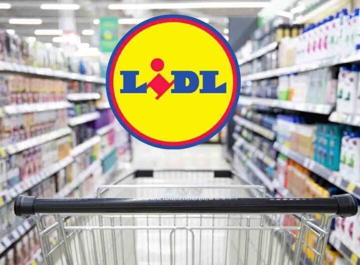 Sta andando a ruba solo da Lidl: cos'è