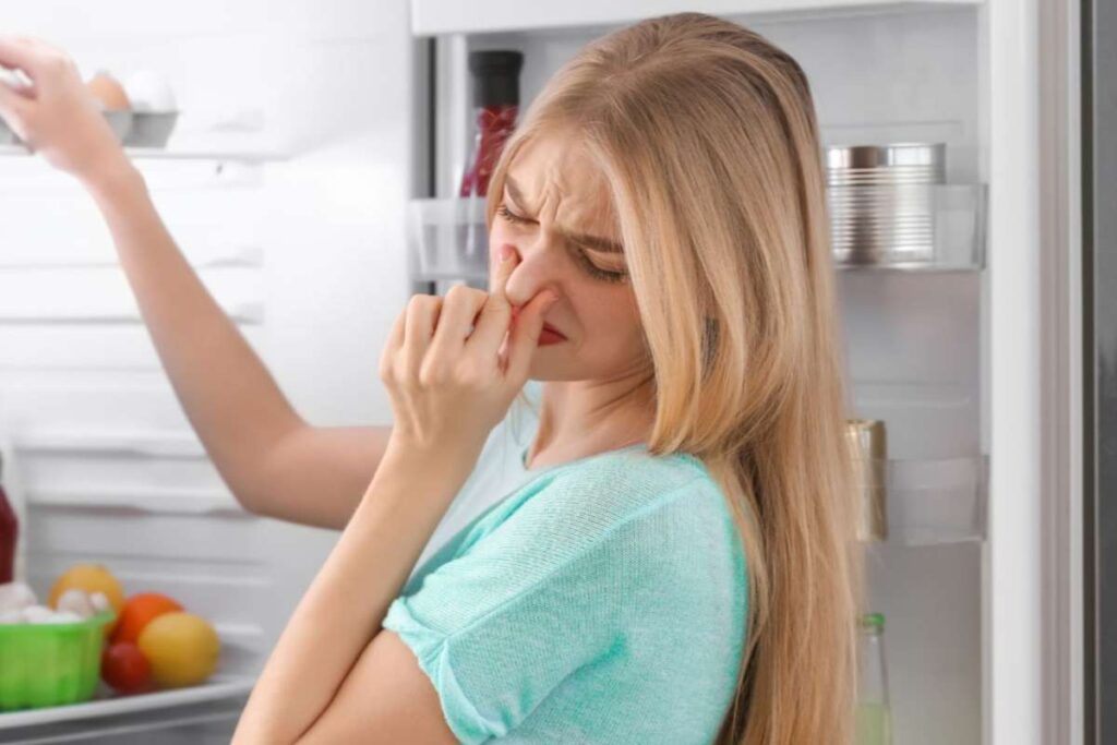 puzza frigo