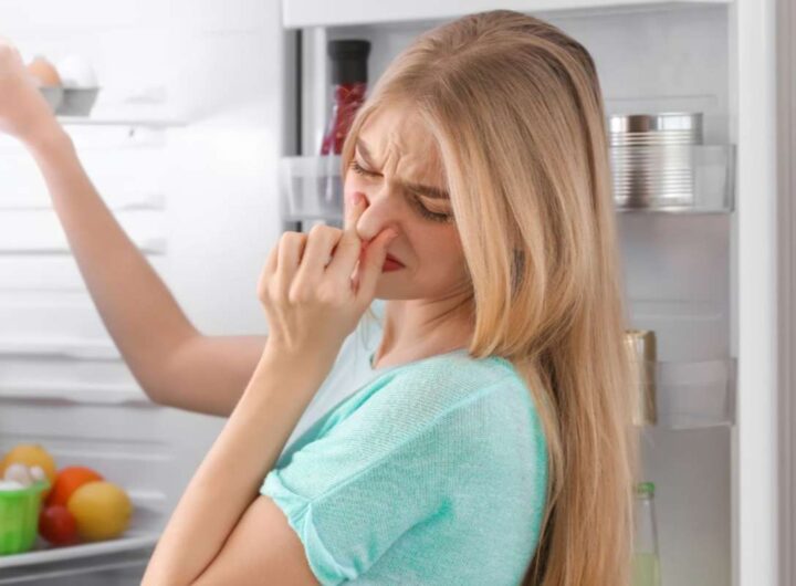 puzza frigo